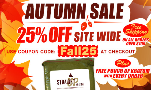 straightup_autumn-banner.jpg
