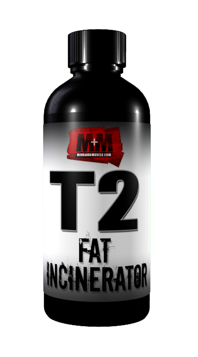 T2.png