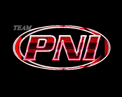 TEAMPNILOGO.jpg