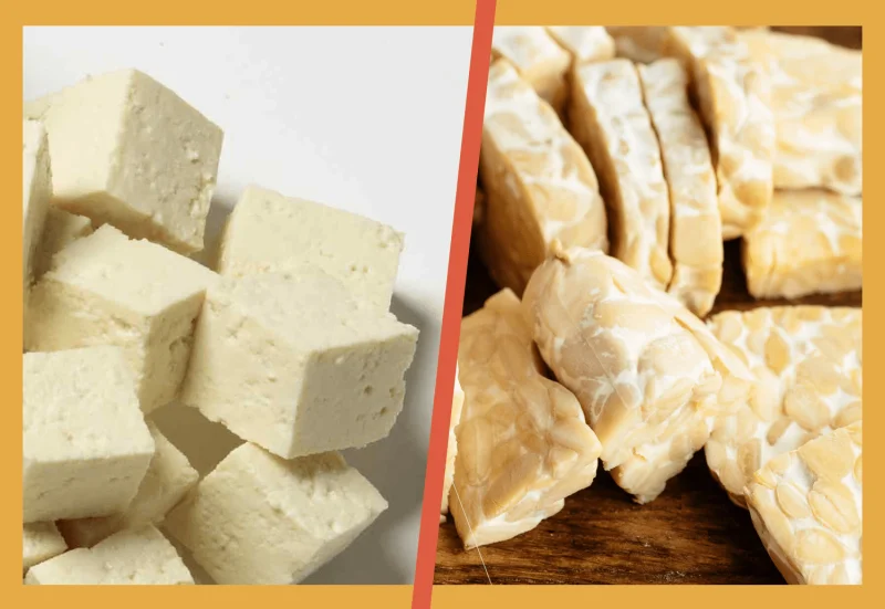 Tempeh-vs-Tofu.webp