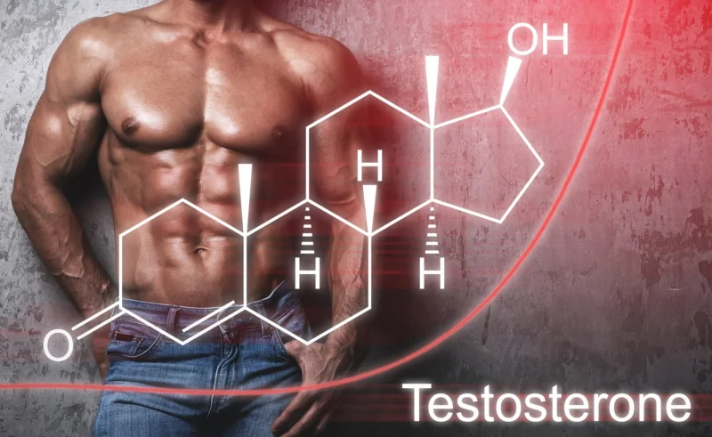 Testosterone-Labels-Major-Update-What-It-Means-for-You.webp