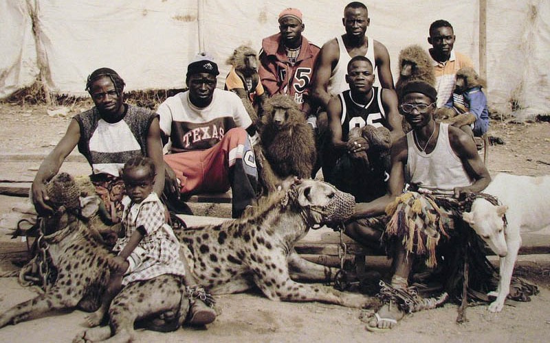 the-hyena-and-other-men-pieter-hugo-9_cover-800x500.jpg
