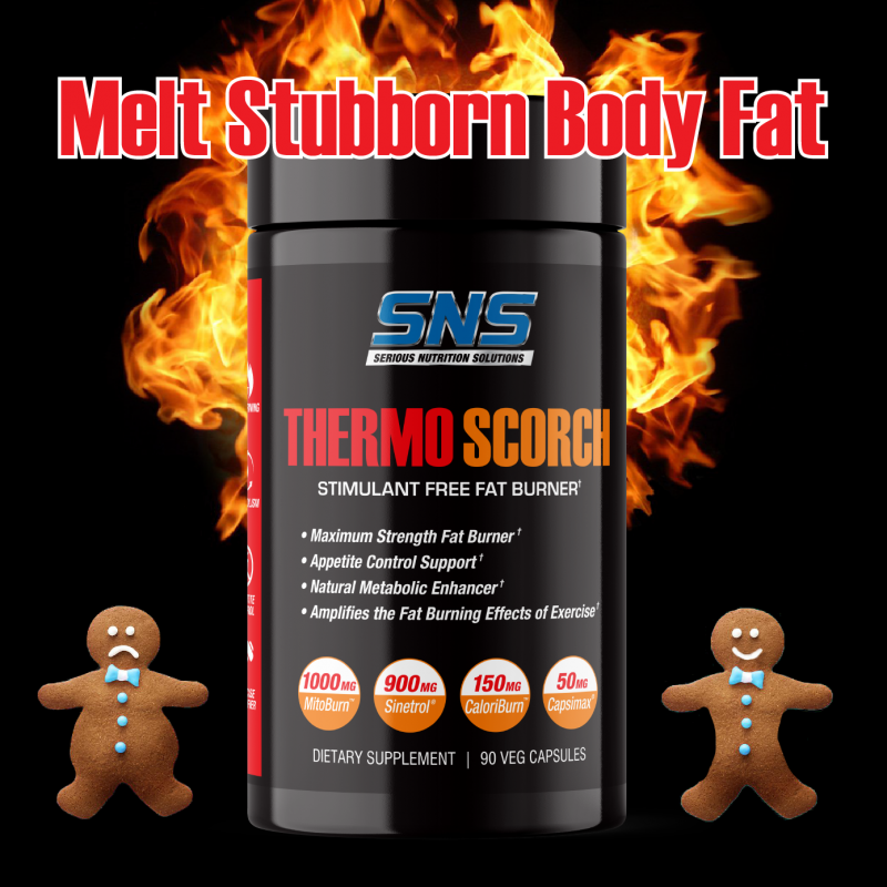 ThermoScorch-b (NewYears).png