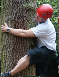 Tree Climbing.png