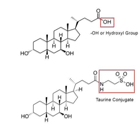 tudca_and_udca_chemical_large.png