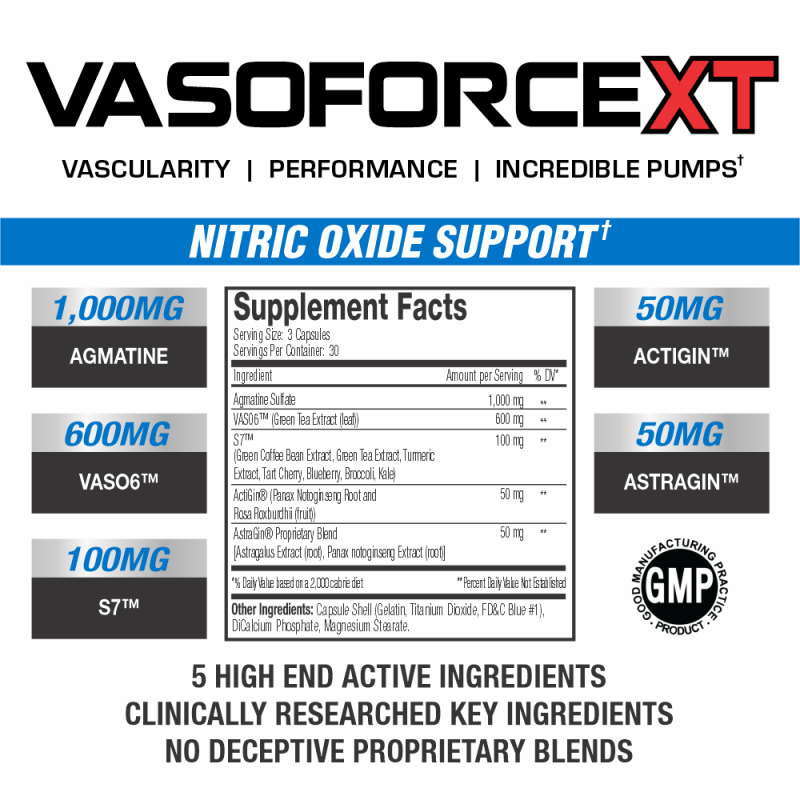 VasoForce XT BANNER.png