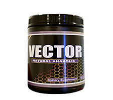 vector small_.png