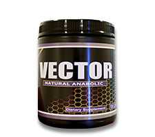 vector_small.png