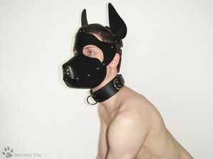 wearing_my_leather_puppy_mask_by_corporalumi-d39wdkv.jpeg