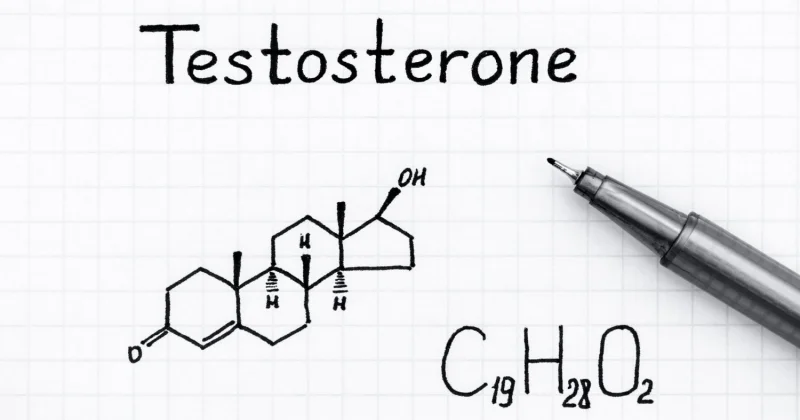 What-Happens-to-Your-Testosterone-When-You-Masturbate.webp