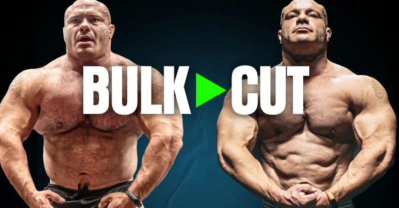 When-To-Bulk-Maintain-or-Cut-For-Maximum-Physique-Results.webp