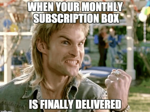 when-your-monthly-subscription-box-ais-finally-delivered-imgfip-com-funny-49514997~2.png