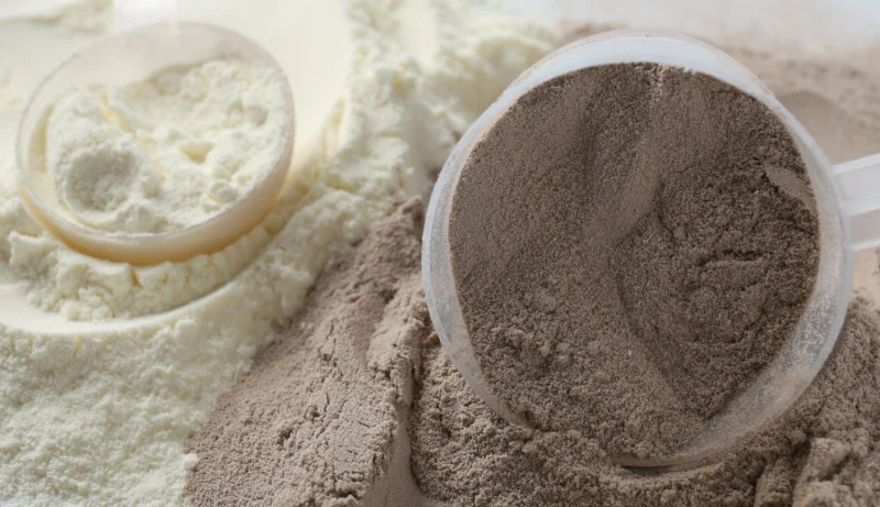 Whey-Protein-for-Adults-New-Study.webp