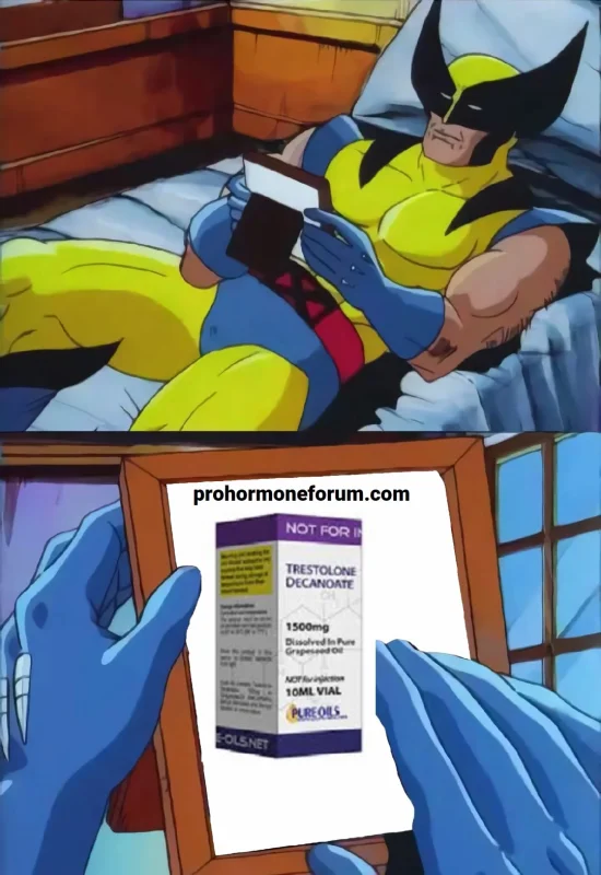 wolverine 2222.webp