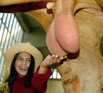 Z-woman_big_balls.jpg