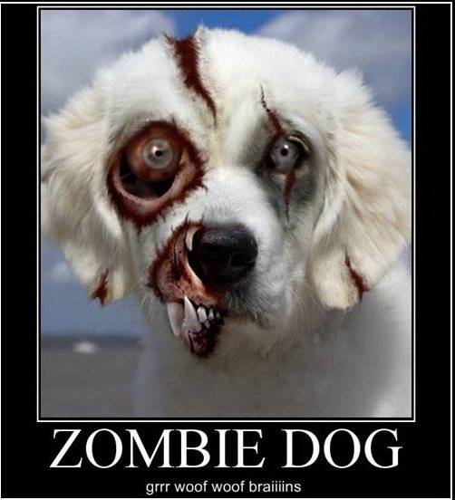 zombie-dog.jpg