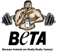 beta.jpg