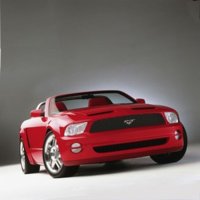 mustang.jpg