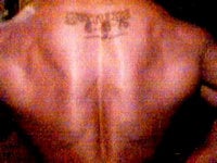 back.jpg
