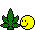 canabis.gif