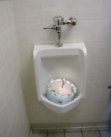 urinalcake.jpg