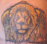 lioncomplete1.jpg