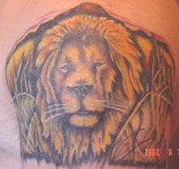 lioncomplete1.jpg