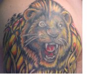 attacklion1.jpg