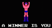 winner.gif