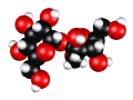 sucrose_a.gif