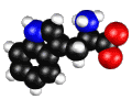 tryptophan_b.gif