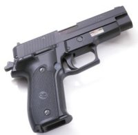 sig229.jpg
