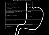 stomach retention times.jpg