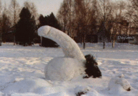 pic30353.gif