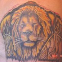smalllion.jpg