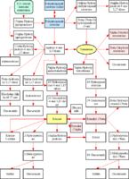 androgenestrogenmetabolism1.gif