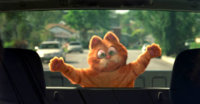rearwindow.jpg