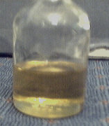 Picture 8.jpg