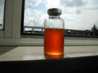 DSCN1454.JPG