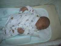 baby III.jpg