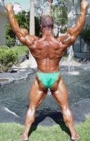 synthol2.jpg