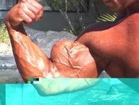 synthol3.jpg