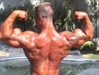 synthol4.jpg