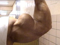 synthol5.jpg