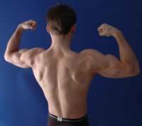 fitness2.jpg