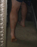 calf.jpg