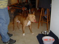 DSC00479.JPG