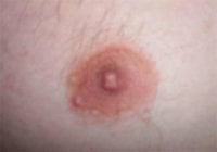 nip1.jpg