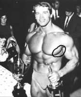 CHESTTTTTTT.JPG