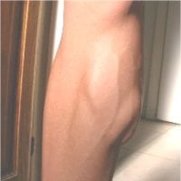calf.jpg